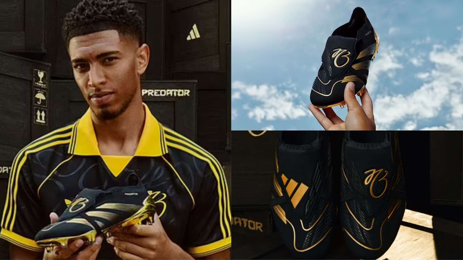 中国网络版 中国网络版