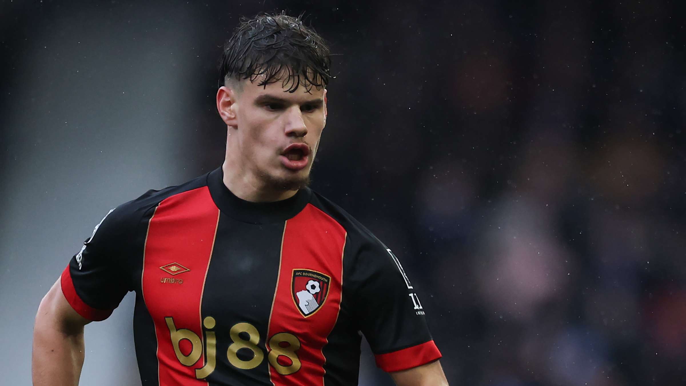 文图斯本赛 文图斯本赛